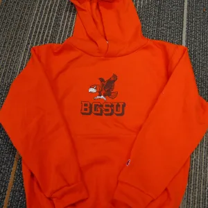 Champion Youth Vintage Falcon Hoodie