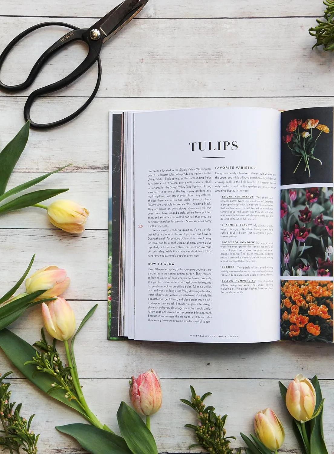 Floret Farms: Cut Flower Farm