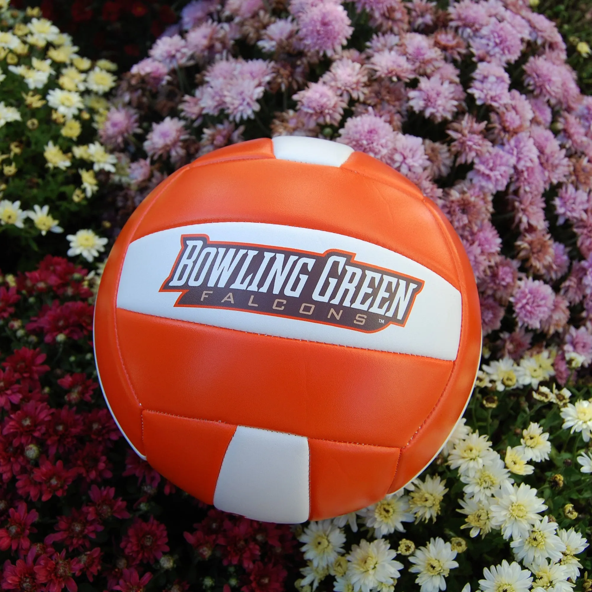 Logo Brand Volleyball