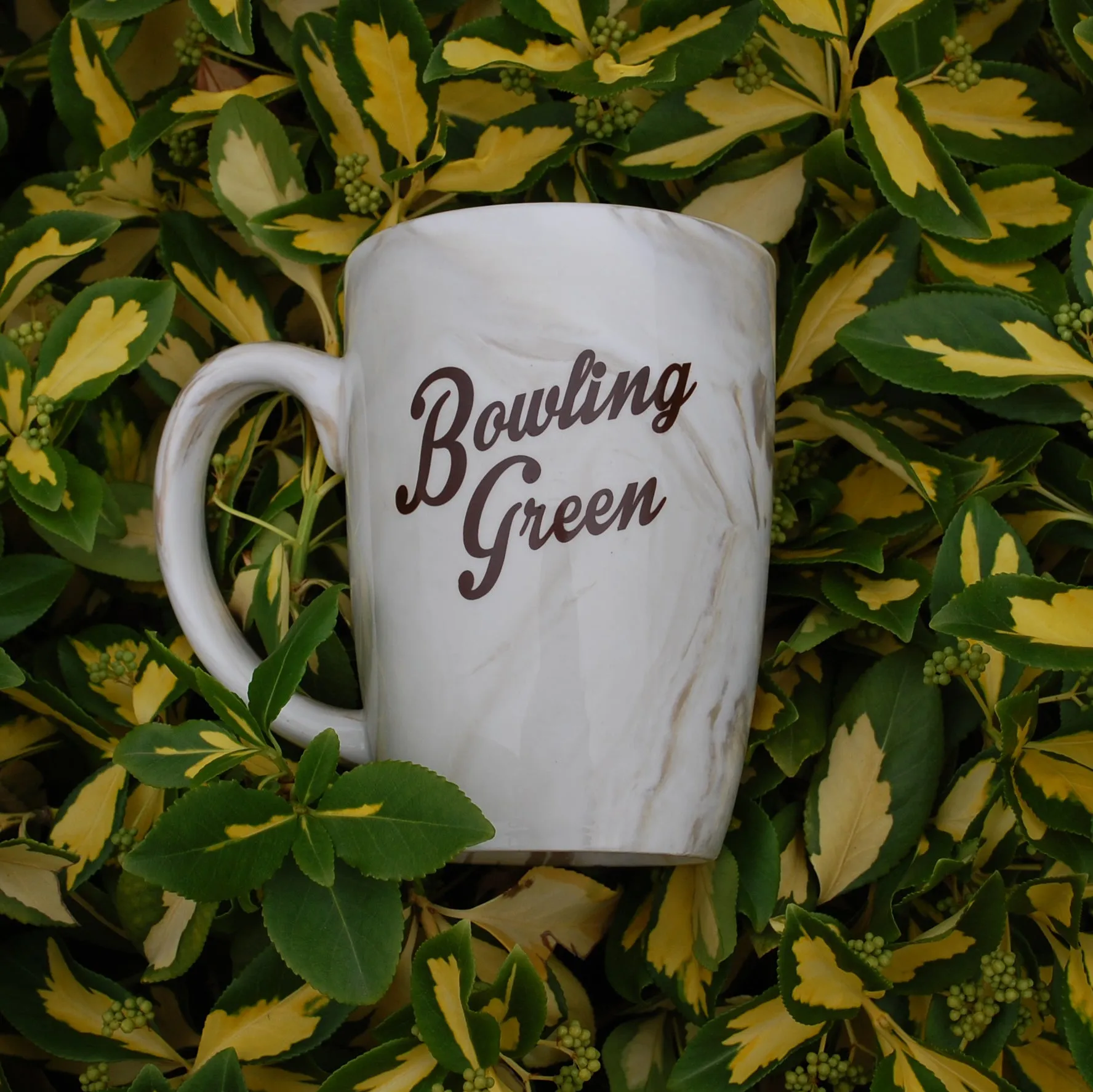 Spirit Bowling Green Marble Mug