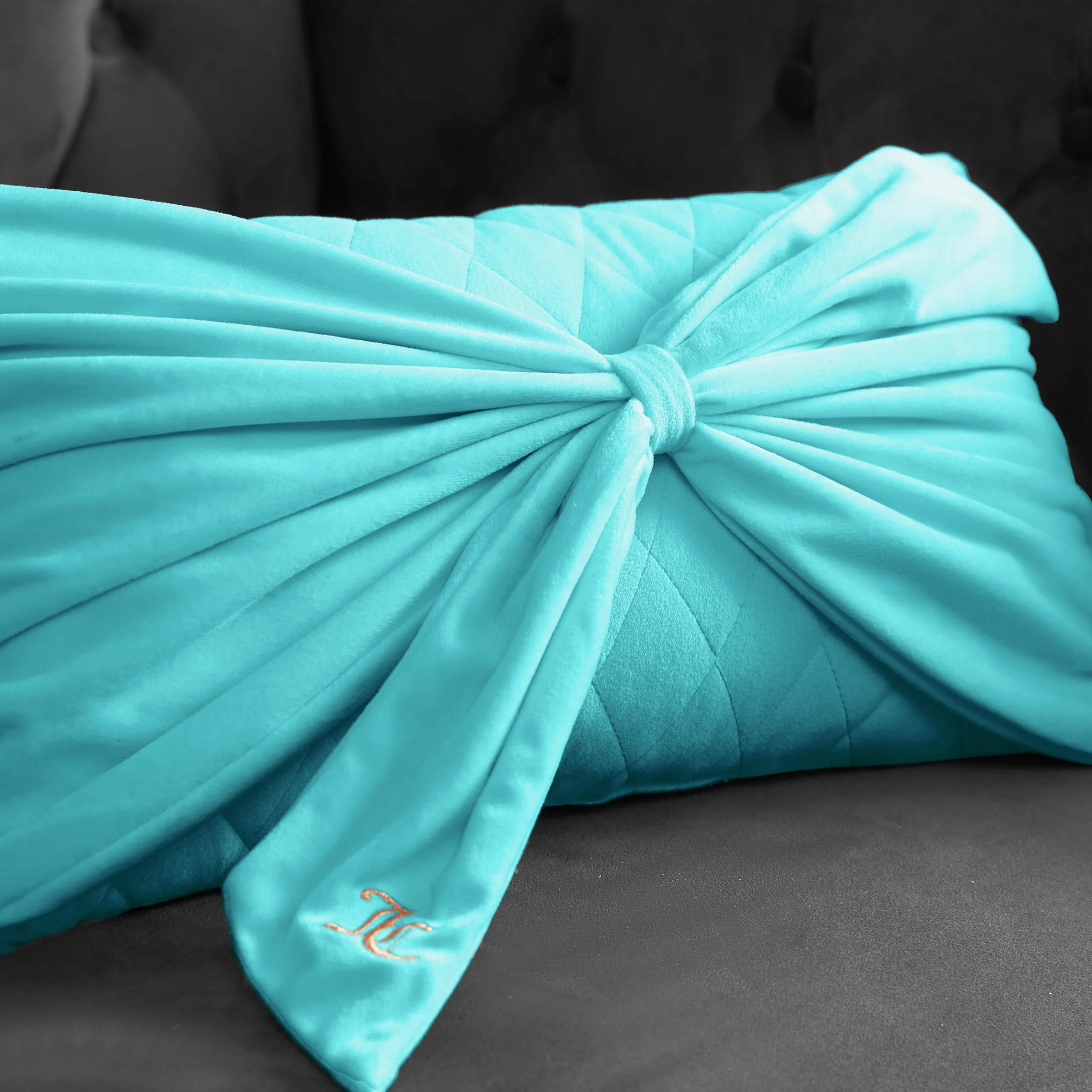Velvet Bow Decorative Pillow Juicy Couture
